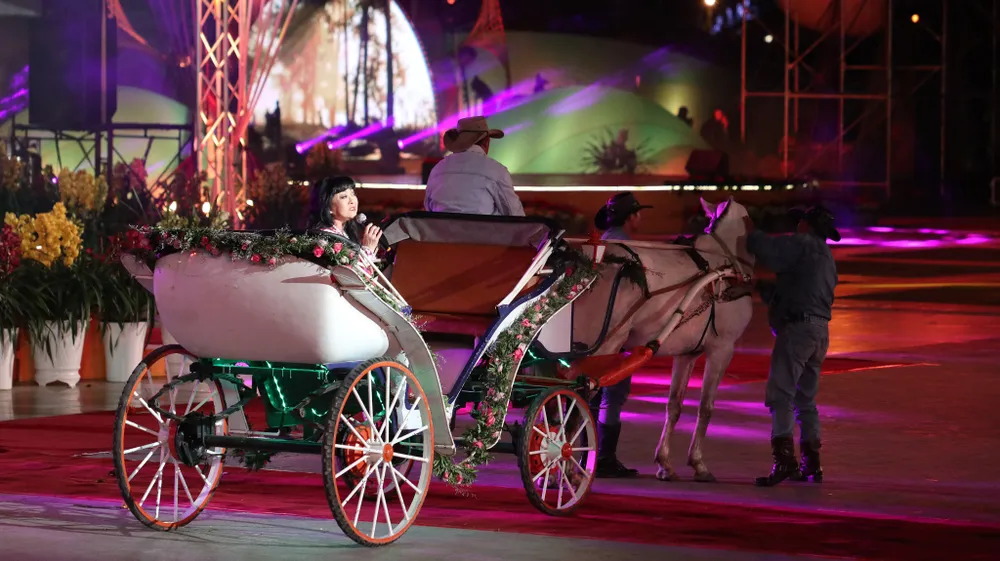 Đêm khai mạc Festival Hoa Đà Lạt đầy sắc màu ảnh 7