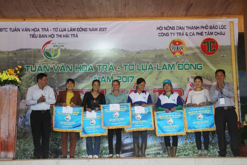 Sôi nổi hội thi hái trà “Bàn tay vàng - búp trà non” ảnh 3