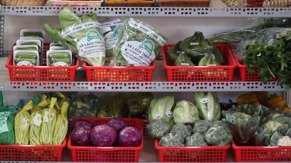 VIDEO: Du khách thăm vườn rau, hoa công nghệ cao giữa phố Đà Lạt ảnh 8