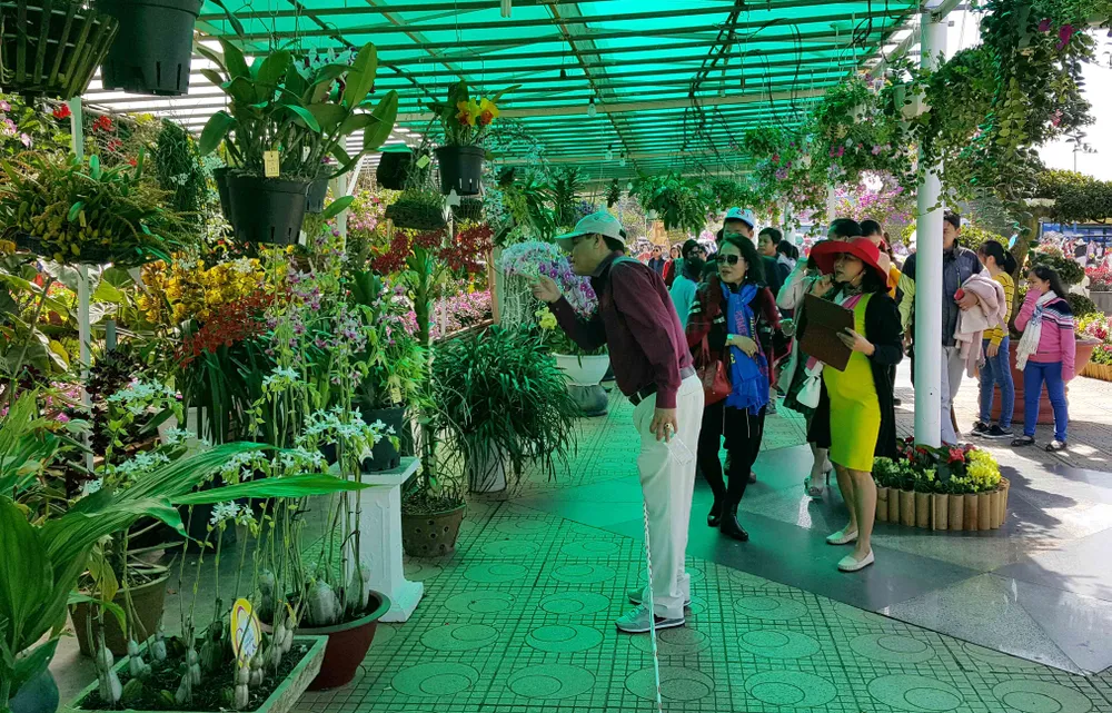 Du khách tấp nập về Đà Lạt nghỉ Tết Dương lịch ảnh 4