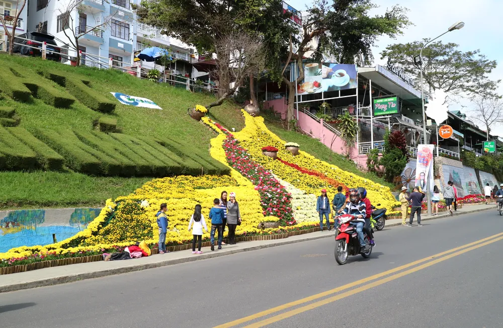 Du khách tấp nập về Đà Lạt nghỉ Tết Dương lịch ảnh 15