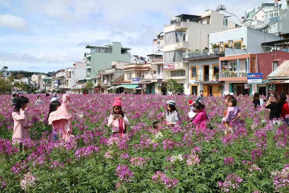 Du khách tấp nập về Đà Lạt nghỉ Tết Dương lịch ảnh 10