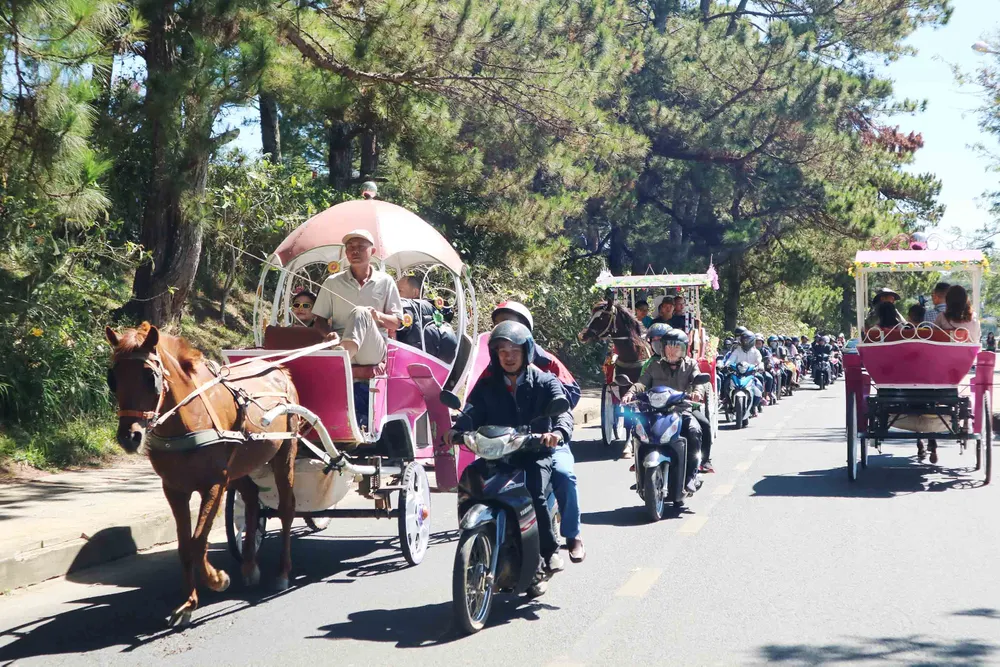 VIDEO: Dòng người không ngừng đổ về Đà Lạt du Xuân ảnh 11