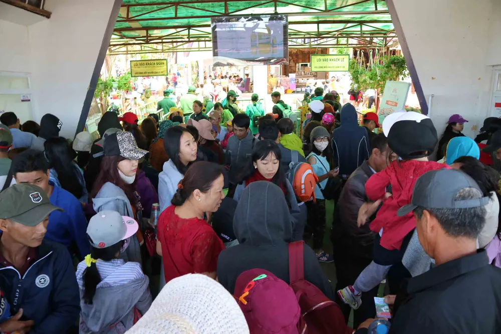 VIDEO: Dòng người không ngừng đổ về Đà Lạt du Xuân ảnh 3