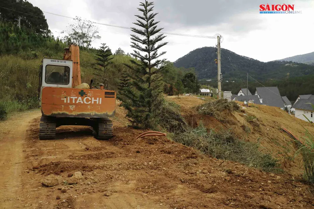 Xử lý khu nghỉ dưỡng cao cấp tại Đà Lạt tự ý san ủi 3 ha đất trái phép ảnh 1