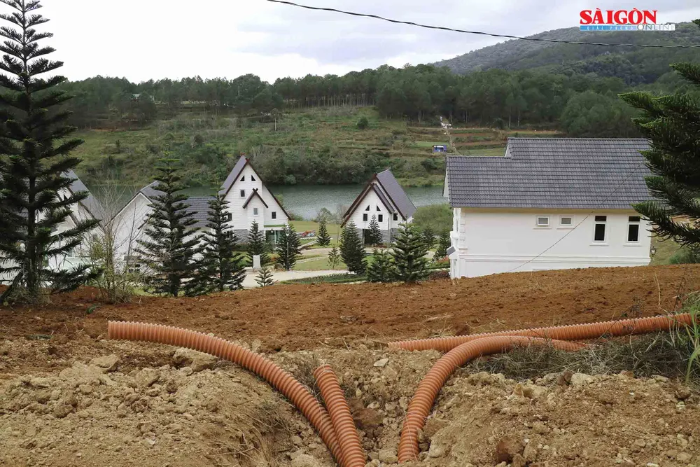 Xử lý khu nghỉ dưỡng cao cấp tại Đà Lạt tự ý san ủi 3 ha đất trái phép ảnh 4