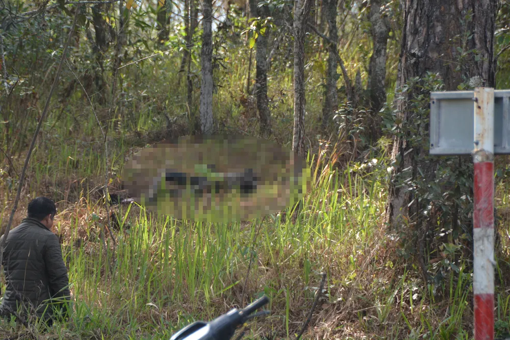 Phát hiện thi thể phụ nữ chết cháy gần khu du lịch ở Đà Lạt ảnh 1