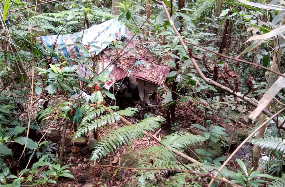Phát hiện thi thể nam thanh niên chết giữa rừng ảnh 1
