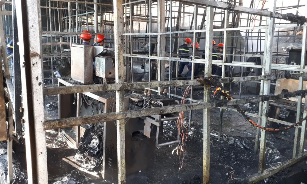 Cháy lớn tại Công ty sâm Ngọc Linh Việt Nam ảnh 1