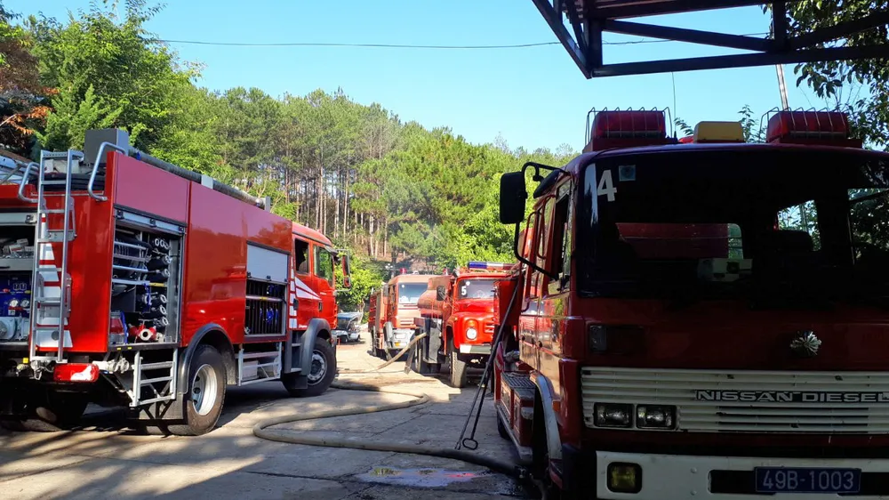 Cháy lớn tại Công ty sâm Ngọc Linh Việt Nam ảnh 3