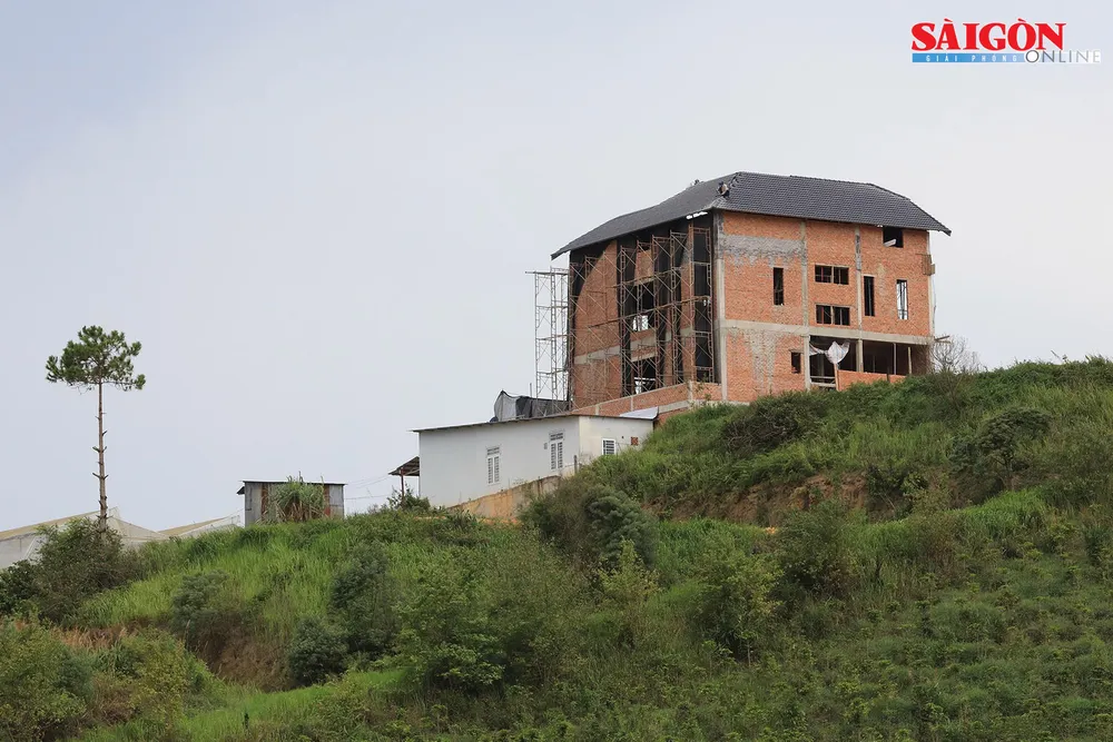 Biệt thự không phép ngang nhiên “mọc” lên ở Đà Lạt ảnh 1