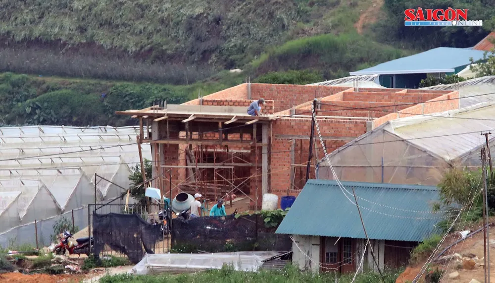 Biệt thự không phép ngang nhiên “mọc” lên ở Đà Lạt ảnh 6