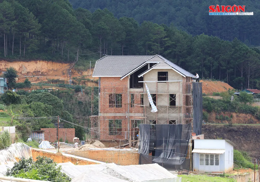 Làm rõ trách nhiệm cán bộ để xảy ra sai phạm tại khu vực biệt thự không phép ở Đà Lạt ảnh 3