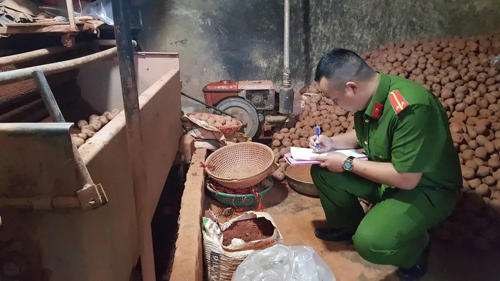 Bắt quả tang trộn đất vào khoai tây Trung Quốc để bán giá cao ảnh 1