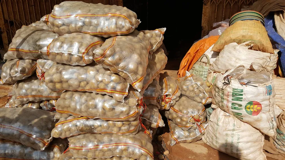 Bắt quả tang trộn đất vào khoai tây Trung Quốc để bán giá cao ảnh 6