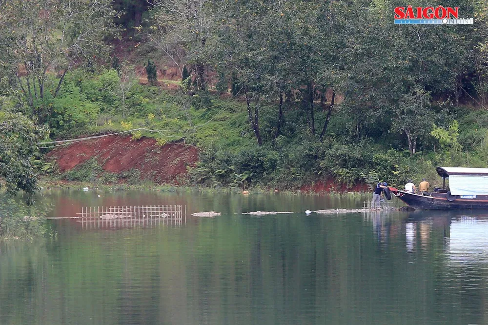 Tháo dỡ bờ kè xây dựng “chui” tại hồ Tuyền Lâm - Đà Lạt ảnh 1