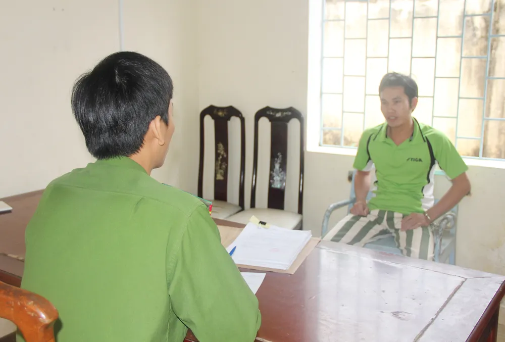 Khởi tố bị can phá gần 4ha rừng thông, chiếm đất