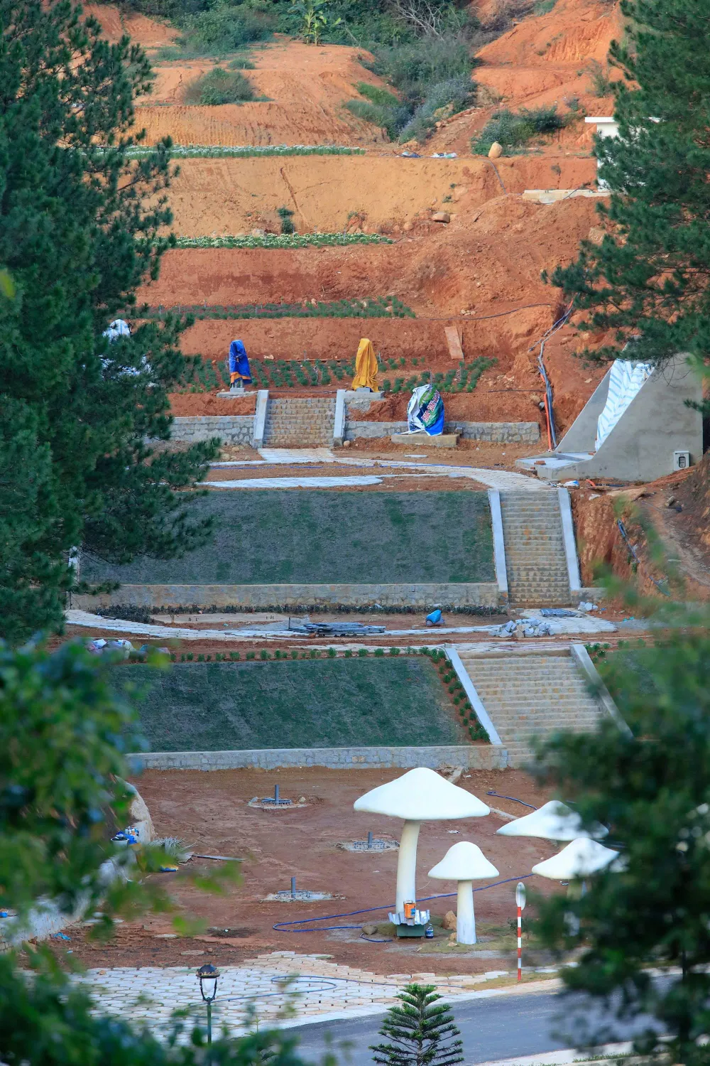 Dự án nghỉ dưỡng cao cấp tiếp tục “xẻo” đất rừng tại hồ Tuyền Lâm – Đà Lạt ảnh 4