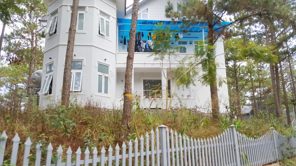 Dự án nghỉ dưỡng cao cấp phá rừng trái phép ở hồ Tuyền Lâm ảnh 4