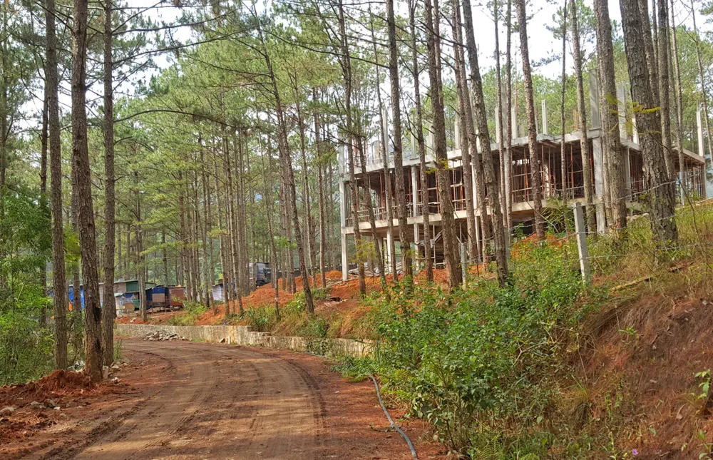 Dự án nghỉ dưỡng cao cấp phá rừng trái phép ở hồ Tuyền Lâm ảnh 3
