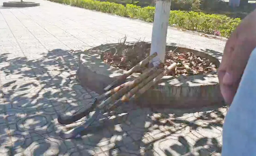 Đi mua hồ sơ dự thầu, hai nhà báo bị hành hung ảnh 1