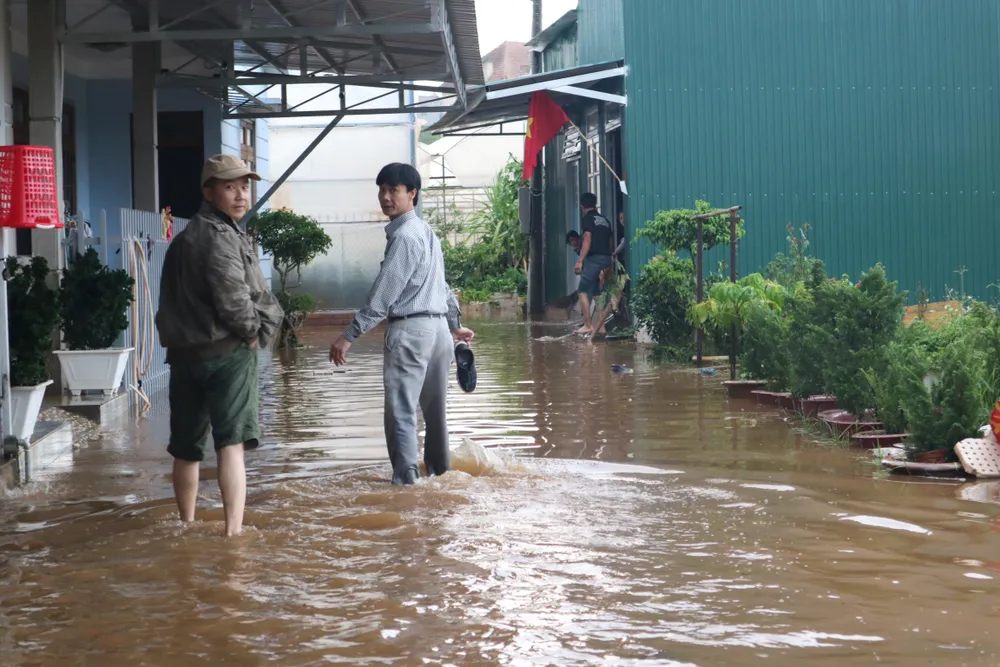 Đà Lạt mưa dữ dội kèm mưa đá, nhiều nơi ngập nặng ảnh 15