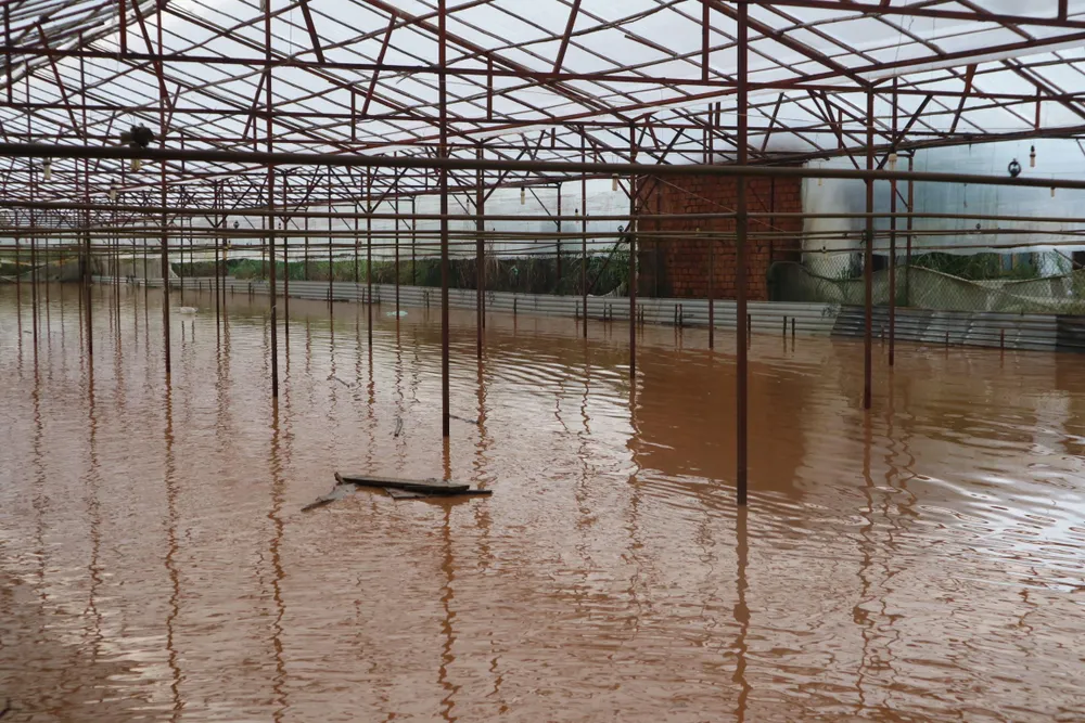 Đà Lạt mưa dữ dội kèm mưa đá, nhiều nơi ngập nặng ảnh 18