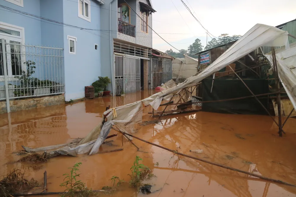 Đà Lạt mưa dữ dội kèm mưa đá, nhiều nơi ngập nặng ảnh 6