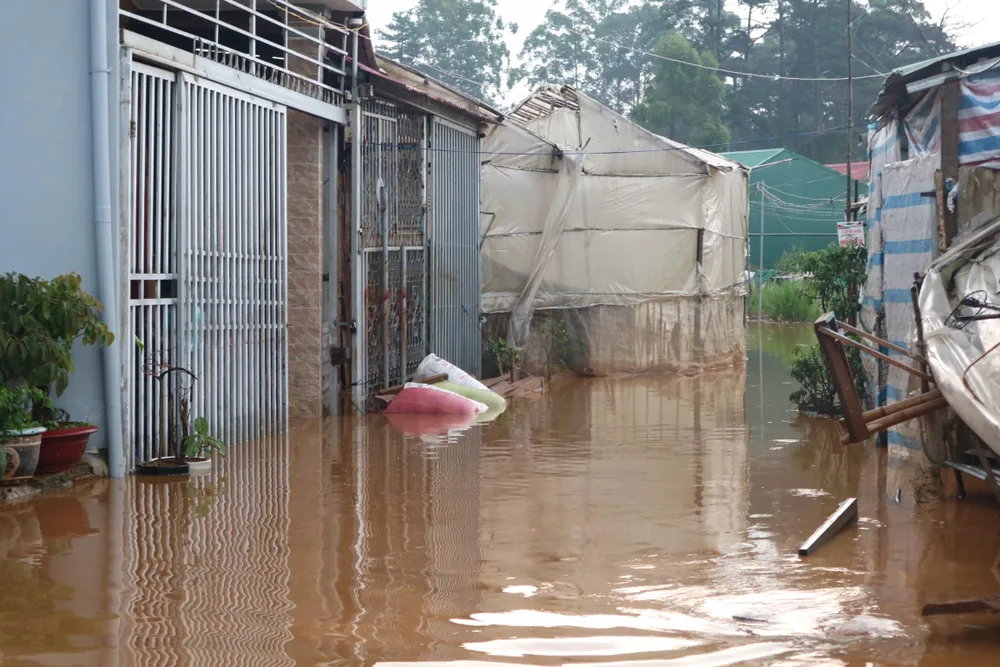 Đà Lạt mưa dữ dội kèm mưa đá, nhiều nơi ngập nặng ảnh 8