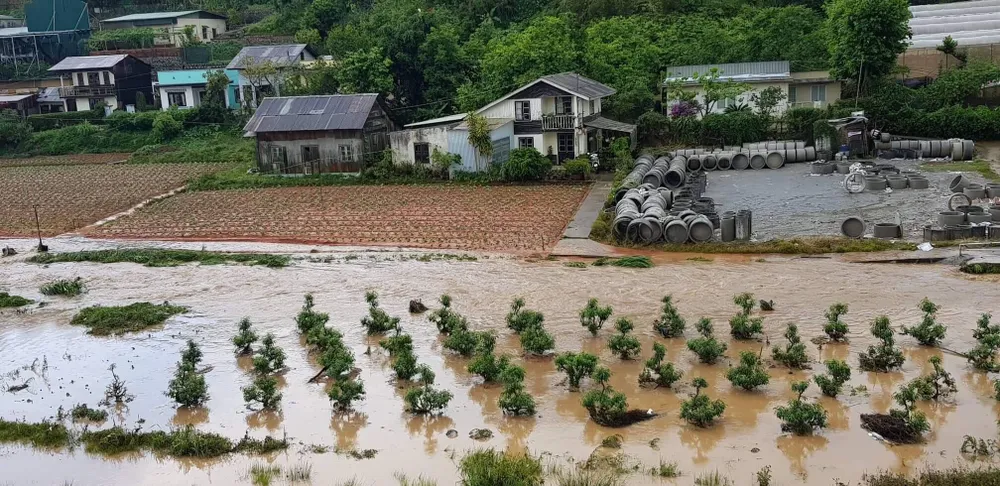 Đà Lạt mưa dữ dội kèm mưa đá, nhiều nơi ngập nặng ảnh 14