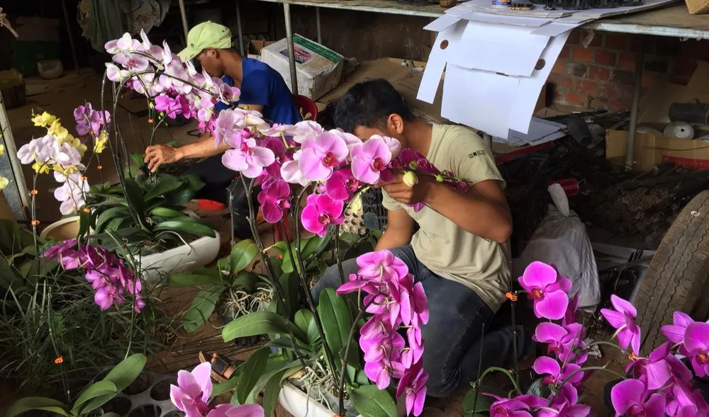 Trao tặng hoa, hạt giống cho các chiến sĩ Trường Sa ảnh 3