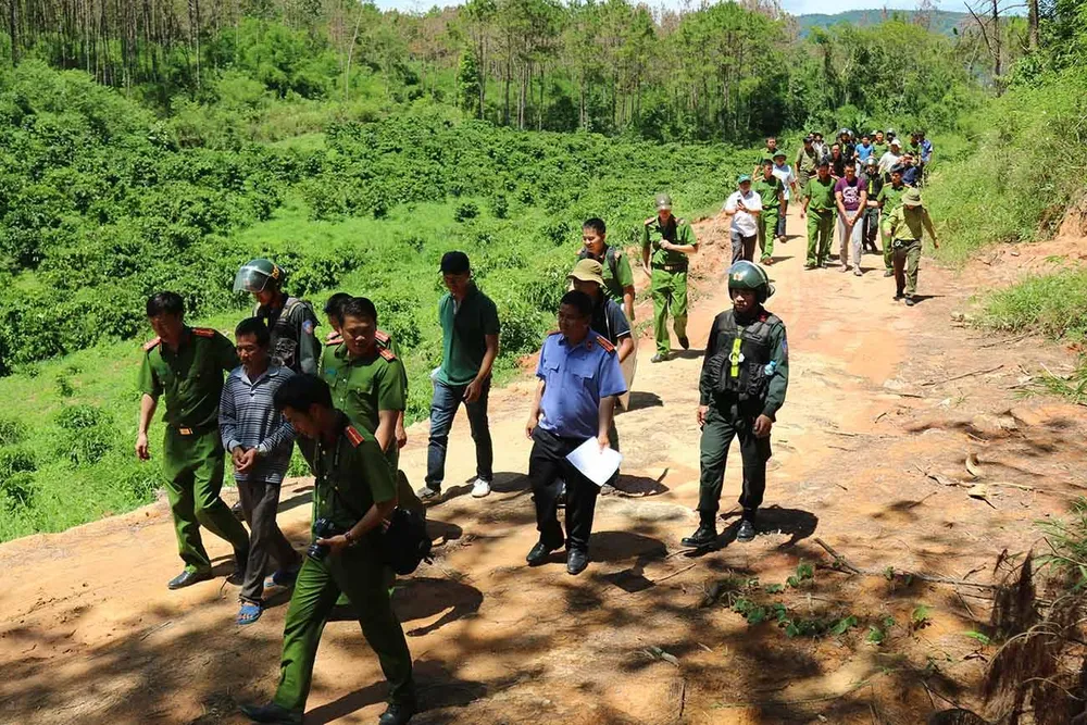 Khởi tố đối tượng chủ mưu phá 10ha rừng thông tại Lâm Đồng ảnh 1