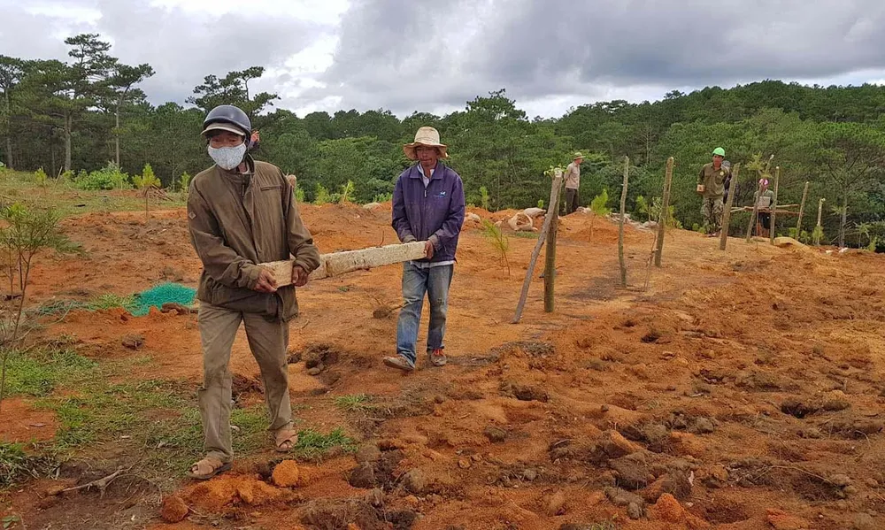 Giải toả rào chắn phân lô đất rừng Đà Lạt ảnh 2