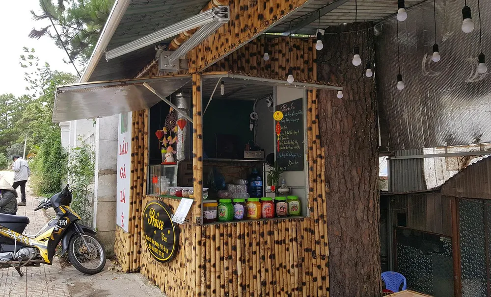 Những cây thông Đà Lạt bị "nhốt" trong nhà ảnh 4