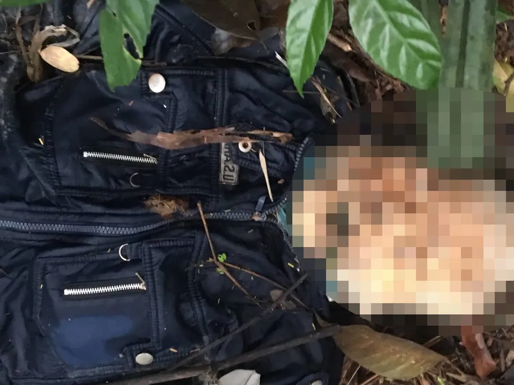 Phát hiện thi thể đang phân hủy trên đèo Bảo Lộc ảnh 1