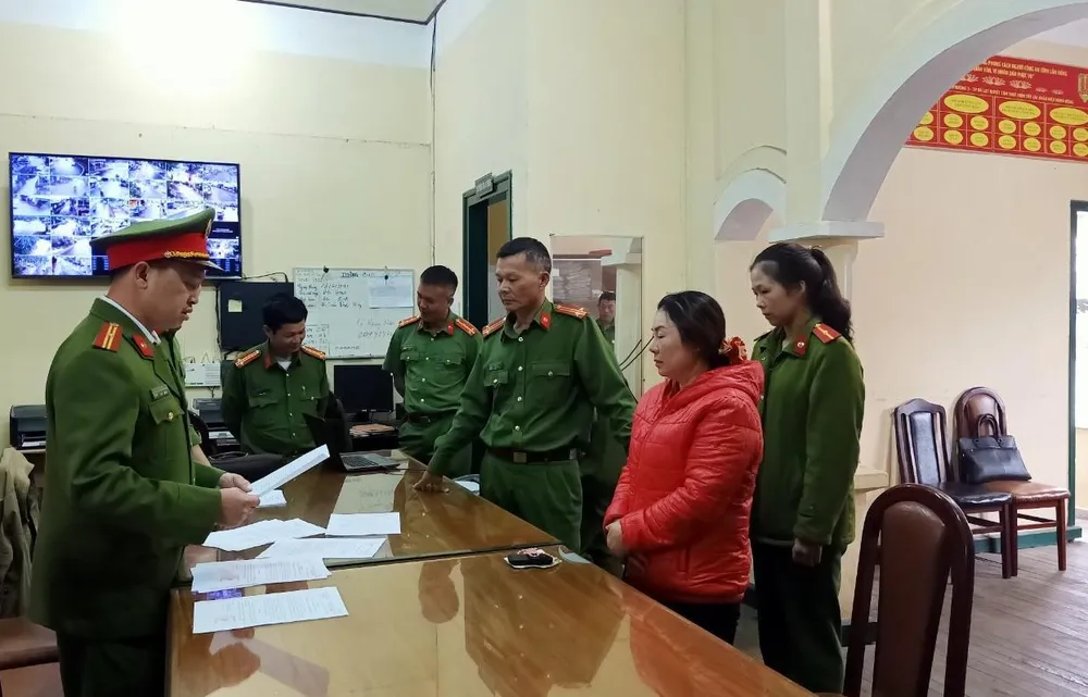 Bắt giam người phụ nữ cầm đầu đường dây dùng sổ đỏ giả lừa 22 tỷ của ngân hàng ảnh 1