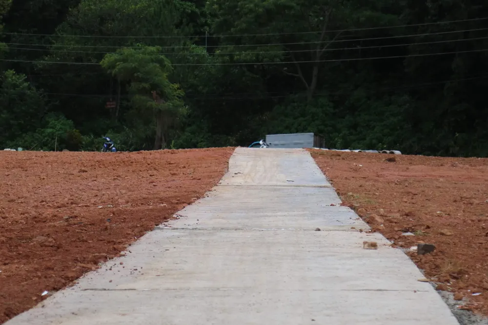 Đà Lạt lập hồ sơ, xử nghiêm vi phạm phân lô bán nền đất nông nghiệp ảnh 2