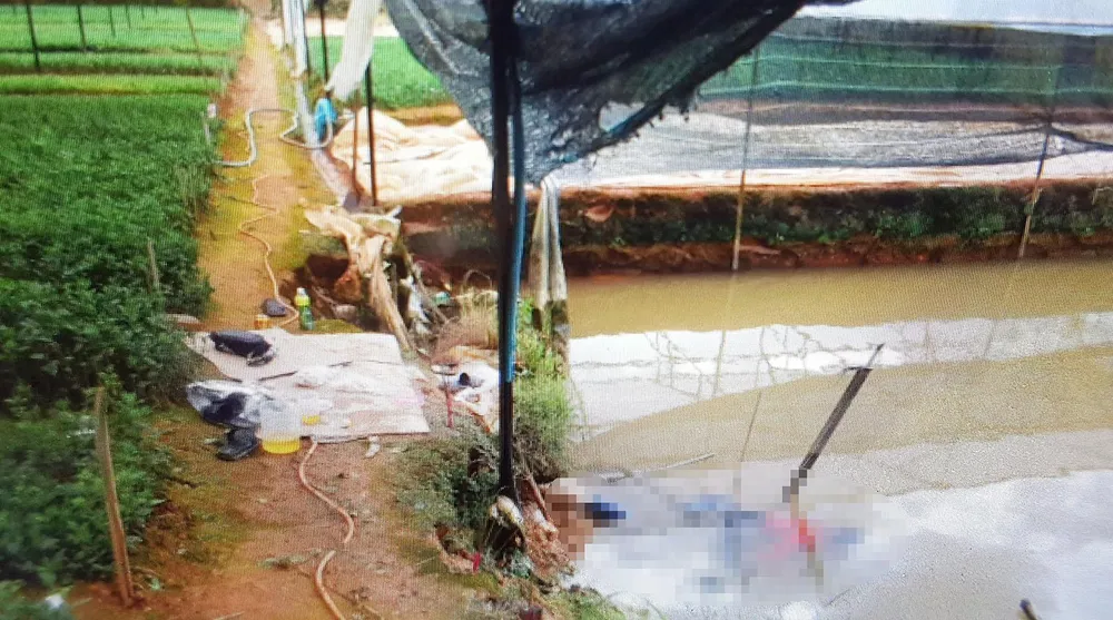 Cặp tình nhân đuối nước trong tư thế ôm nhau, quanh người quấn dây điện ảnh 1