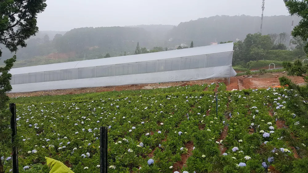 Bị xử phạt, điểm tham quan du lịch trên đèo Mimosa ( Đà Lạt) vẫn thi công ảnh 3