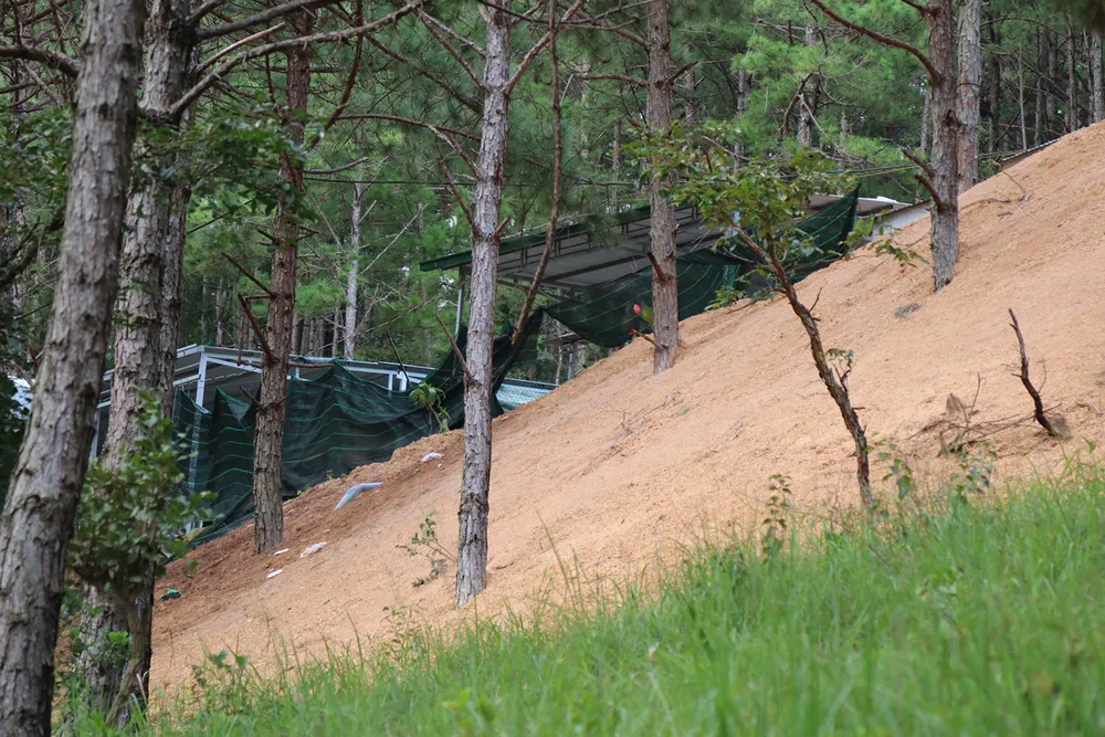 Hơn chục căn nhà trái phép “mọc” trong rừng thông ở Đà Lạt ảnh 4