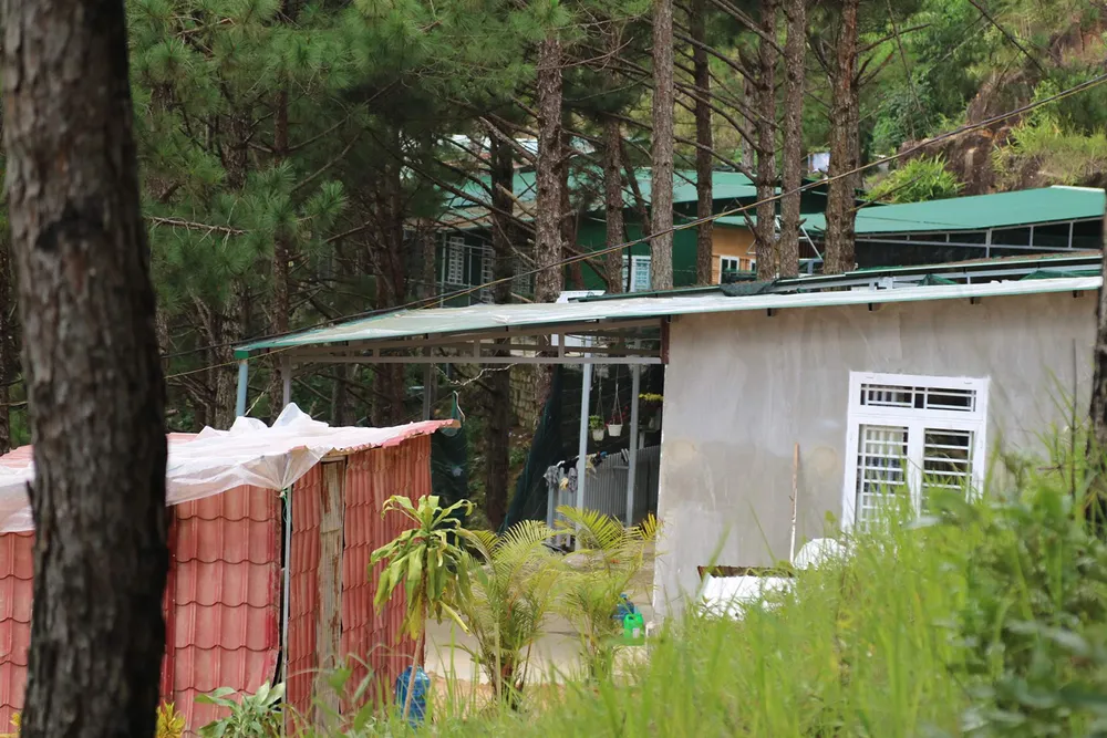 Hơn chục căn nhà trái phép “mọc” trong rừng thông ở Đà Lạt ảnh 6