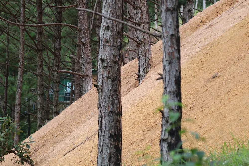 Hơn chục căn nhà trái phép “mọc” trong rừng thông ở Đà Lạt ảnh 5
