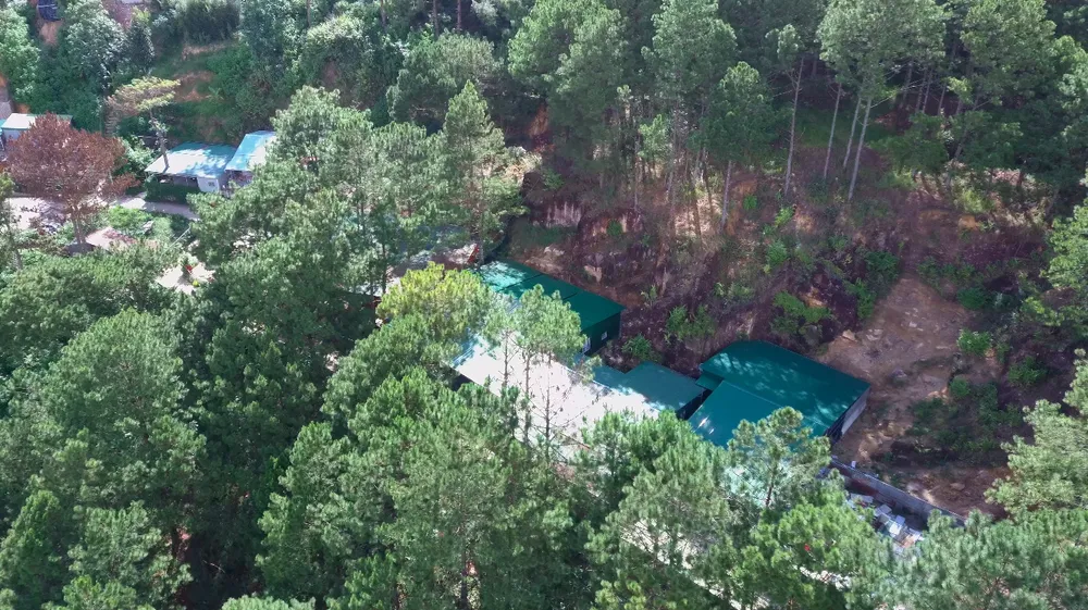 Hơn chục căn nhà trái phép “mọc” trong rừng thông ở Đà Lạt ảnh 1