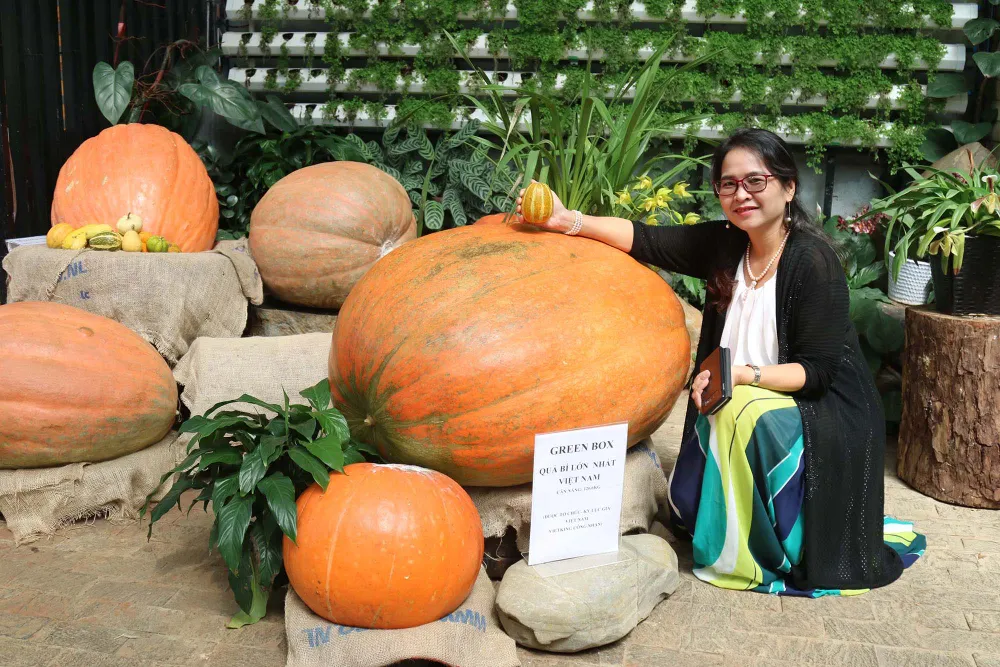 Quả bí ngô “khổng lồ” nặng hơn 120kg ở Đà Lạt ảnh 3