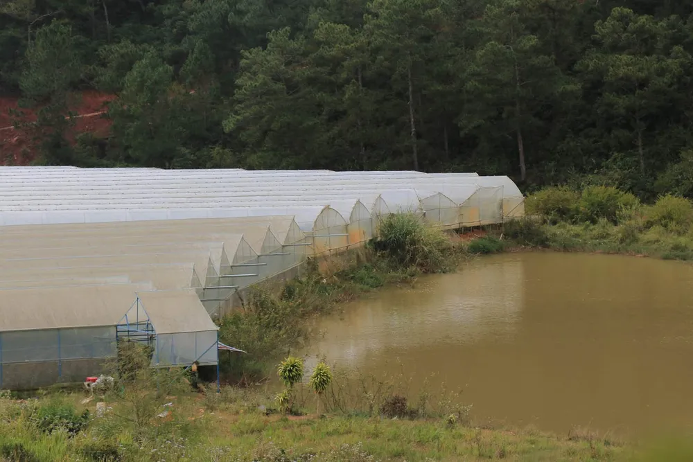 Hồ cấp nước sinh hoạt cho Đà Lạt ngày càng ô nhiễm ảnh 5