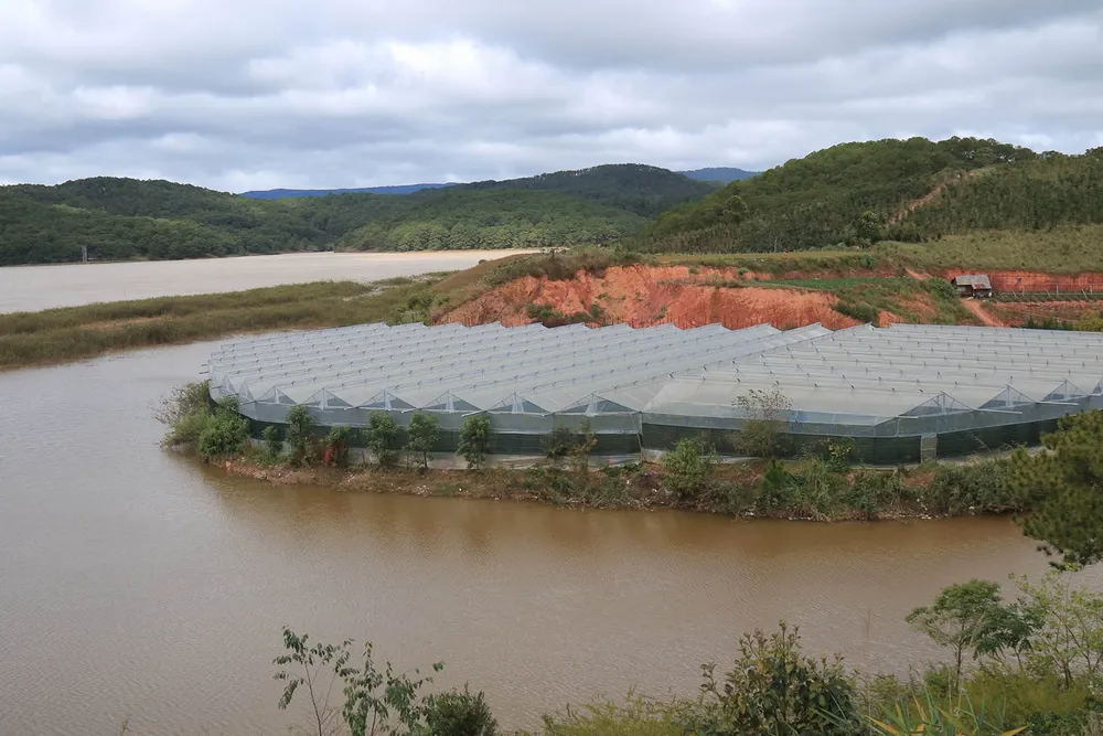 Hồ cấp nước sinh hoạt cho Đà Lạt ngày càng ô nhiễm ảnh 6