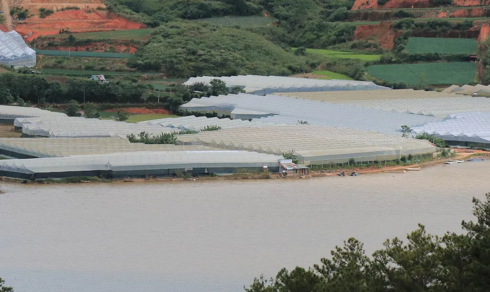 Hồ cấp nước sinh hoạt cho Đà Lạt ngày càng ô nhiễm ảnh 3