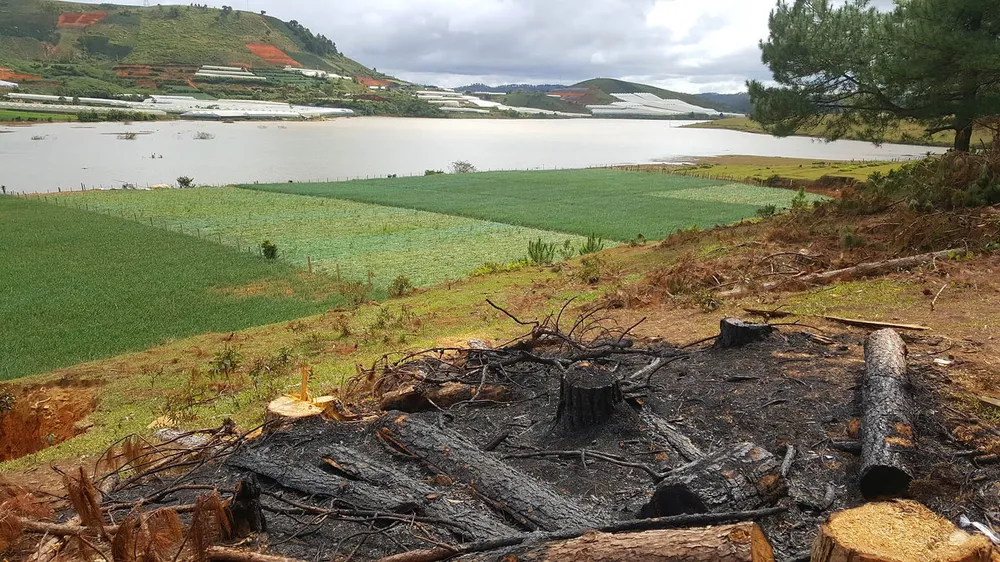 Hồ cấp nước sinh hoạt cho Đà Lạt ngày càng ô nhiễm ảnh 12