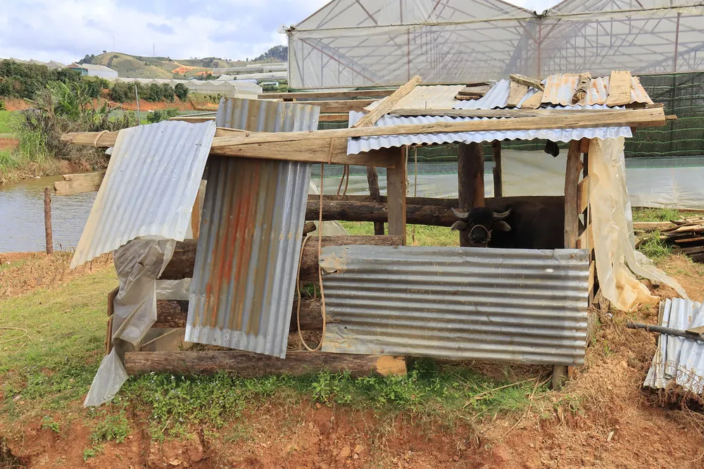 Hồ cấp nước sinh hoạt cho Đà Lạt ngày càng ô nhiễm ảnh 9