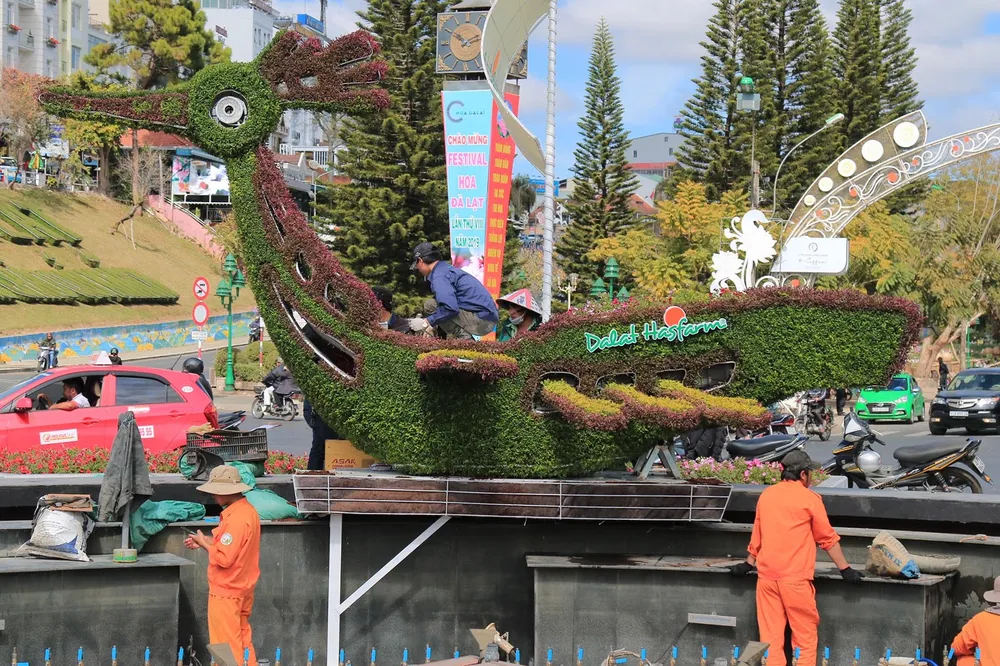 Tiểu cảnh hoa phục vụ Festival hoa Đà Lạt bị trộm  ảnh 3